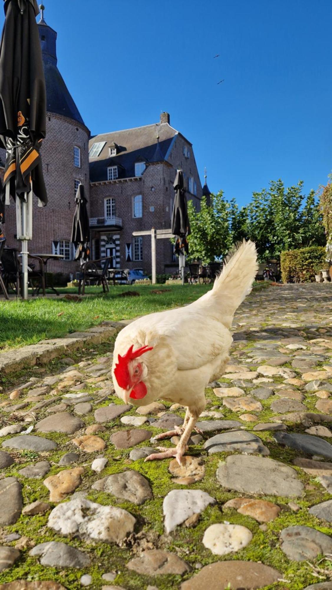 Kasteel Aldenghoor Bed & Breakfast Haelen Exterior foto