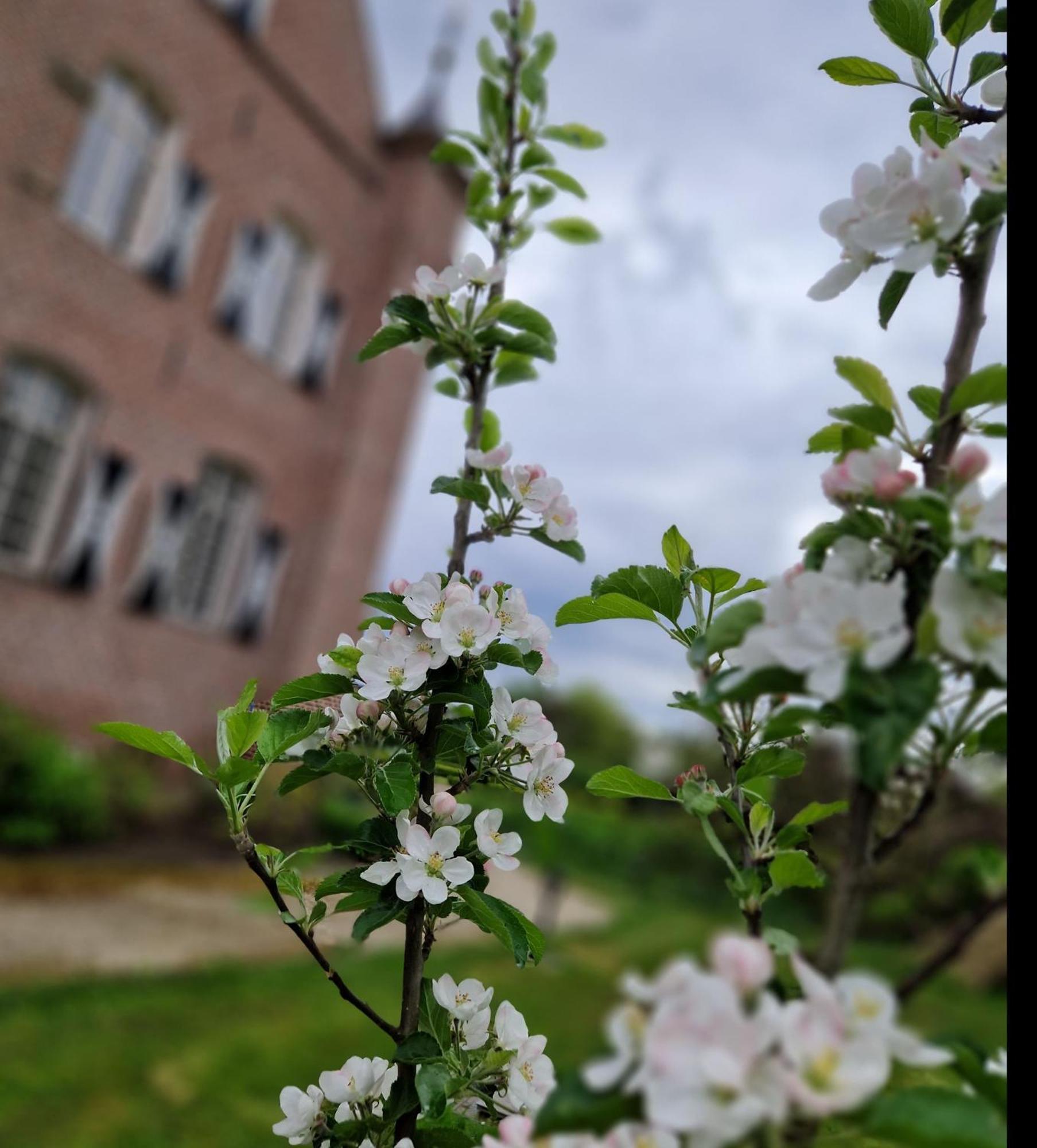 Kasteel Aldenghoor Bed & Breakfast Haelen Exterior foto