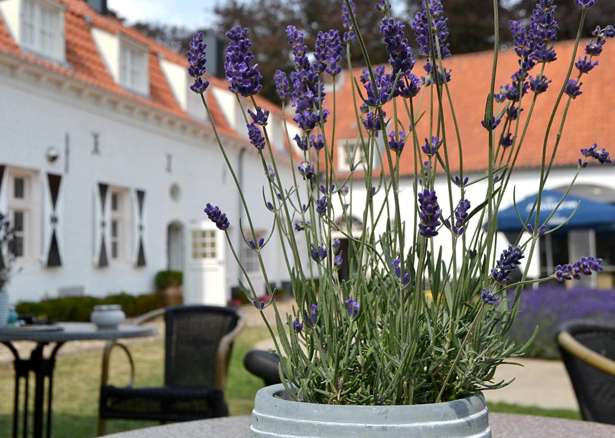 Kasteel Aldenghoor Bed & Breakfast Haelen Exterior foto